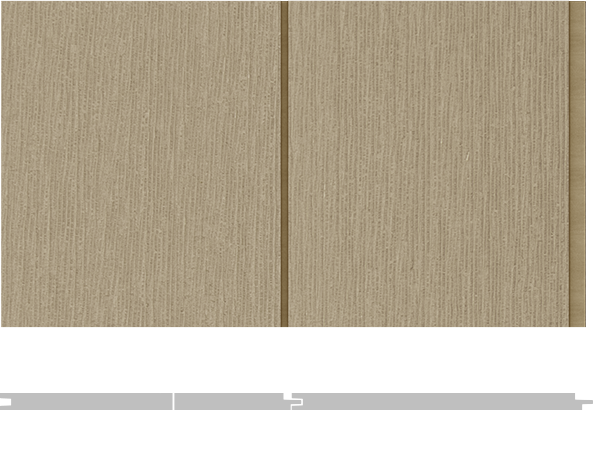 10” T&G Modern Shiplap